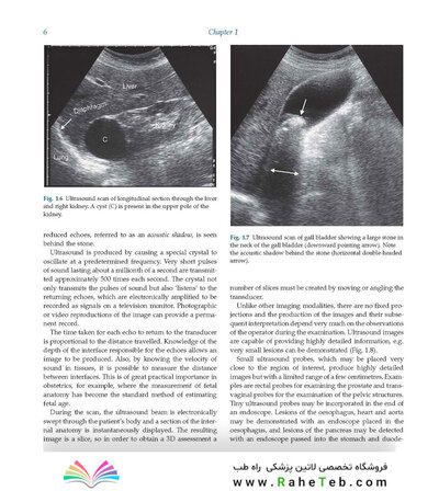 Diagnostic Imaging Armstrong 7th Edicion  2013