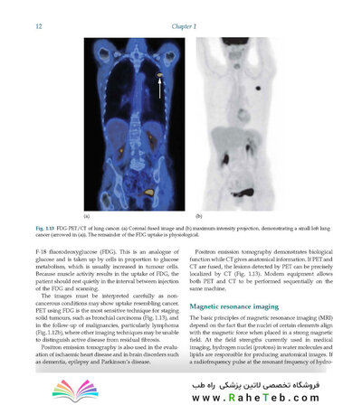 Diagnostic Imaging Armstrong 7th Edicion  2013