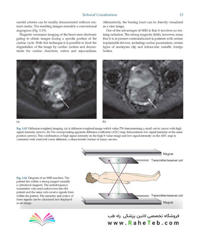 Diagnostic Imaging Armstrong 7th Edicion  2013