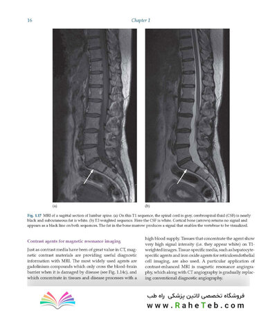 Diagnostic Imaging Armstrong 7th Edicion  2013