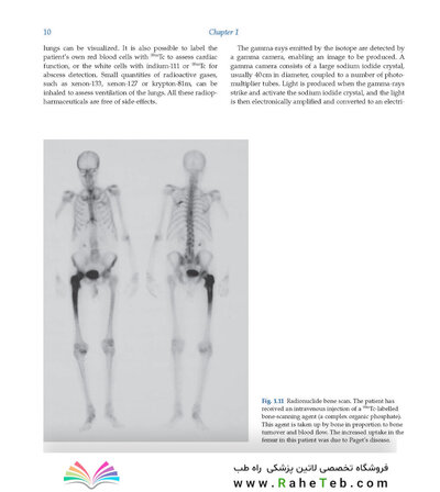 Diagnostic Imaging Armstrong 7th Edicion  2013
