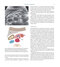 Diagnostic Imaging Armstrong 7th Edicion  2013