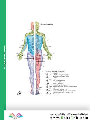 کتاب 2015 ICD-9-CM for Hospitals