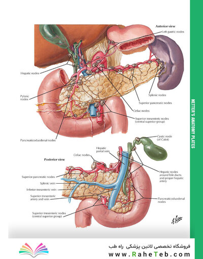 کتاب 2015 ICD-9-CM for Hospitals