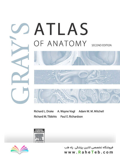 Gray's atlas of anatomy