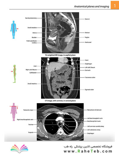 Gray's atlas of anatomy