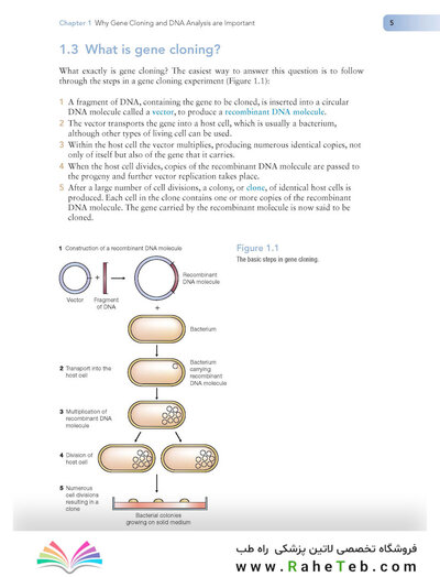 Gene Cloning and DNA Analysis: An Introduction (کلون سازی ژن)
