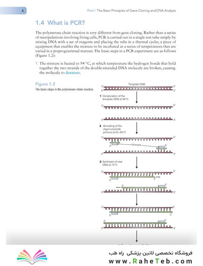 Gene Cloning and DNA Analysis: An Introduction (کلون سازی ژن)