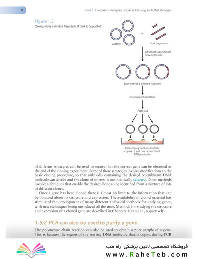 Gene Cloning and DNA Analysis: An Introduction (کلون سازی ژن)