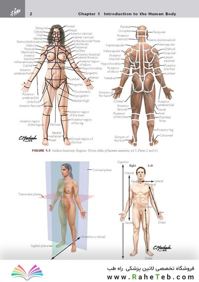 کتاب Netter's Clinical Anatomy