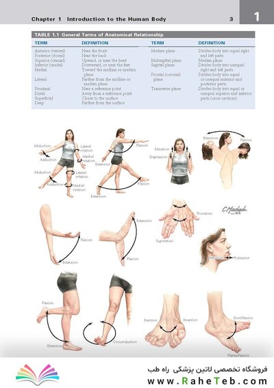 کتاب Netter's Clinical Anatomy