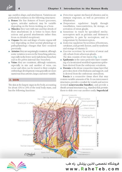 کتاب Netter's Clinical Anatomy
