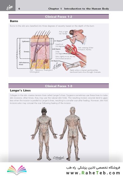 کتاب Netter's Clinical Anatomy
