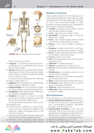 کتاب Netter's Clinical Anatomy