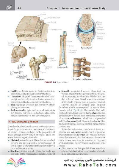 کتاب Netter's Clinical Anatomy