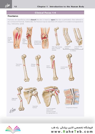 کتاب Netter's Clinical Anatomy