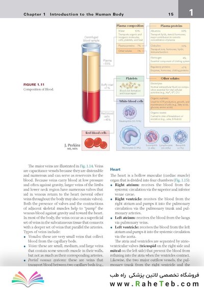 کتاب Netter's Clinical Anatomy