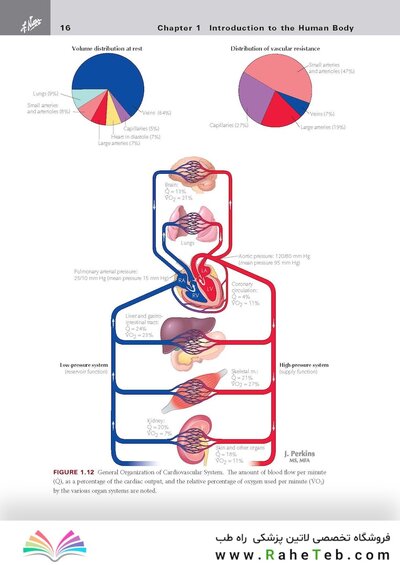 کتاب Netter's Clinical Anatomy