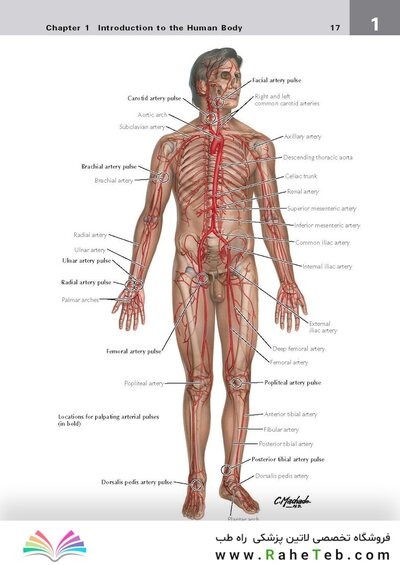 کتاب Netter's Clinical Anatomy