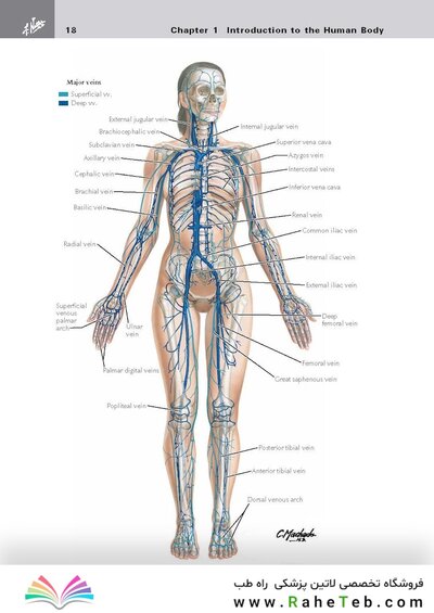 کتاب Netter's Clinical Anatomy