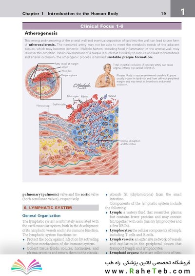 کتاب Netter's Clinical Anatomy