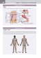 کتاب Netter's Clinical Anatomy