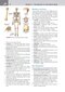 کتاب Netter's Clinical Anatomy