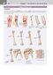 کتاب Netter's Clinical Anatomy