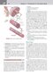 کتاب Netter's Clinical Anatomy