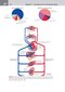 کتاب Netter's Clinical Anatomy