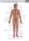 کتاب Netter's Clinical Anatomy