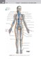 کتاب Netter's Clinical Anatomy