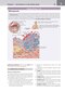 کتاب Netter's Clinical Anatomy