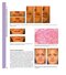 Aesthetic Plastic Surgery Video Atlas