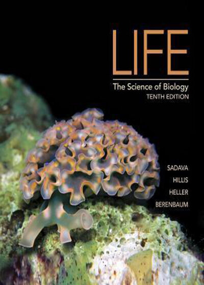 Life : The Science of Biology