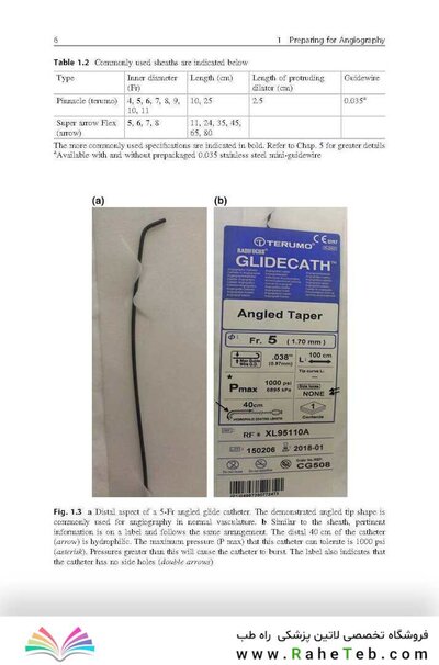 Handbook of Neuroendovascular Techniques