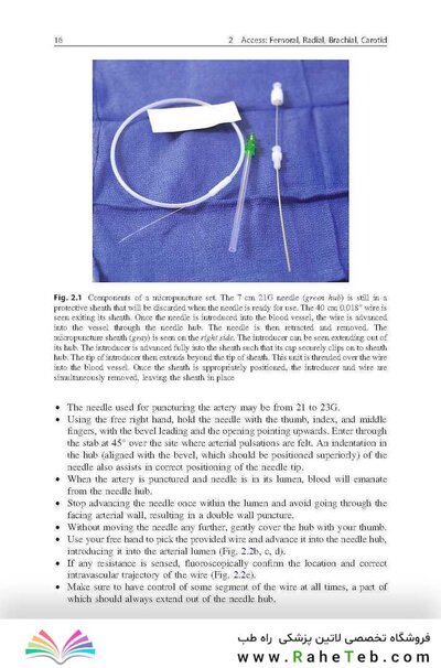 Handbook of Neuroendovascular Techniques