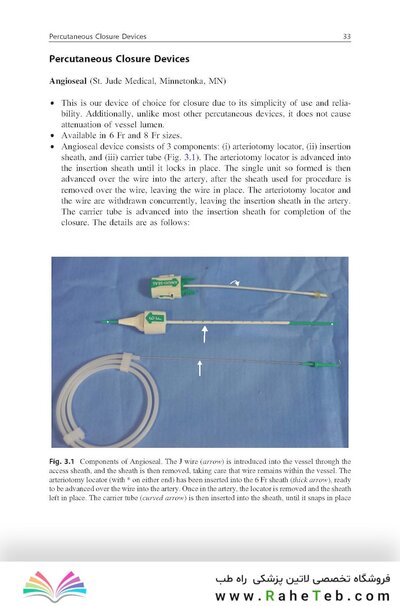 Handbook of Neuroendovascular Techniques