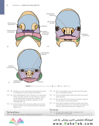Self-Assessment in Otolaryngology