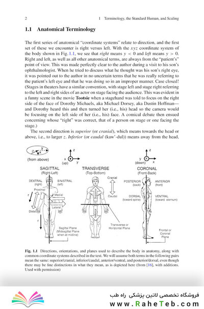 Physics of the Human Body