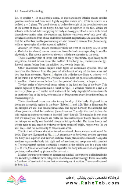 Physics of the Human Body