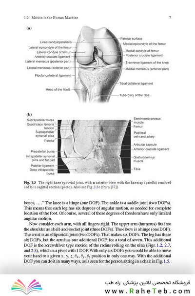 Physics of the Human Body
