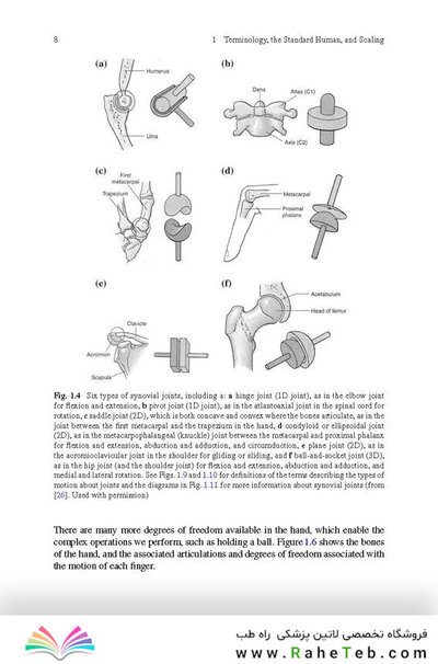 Physics of the Human Body