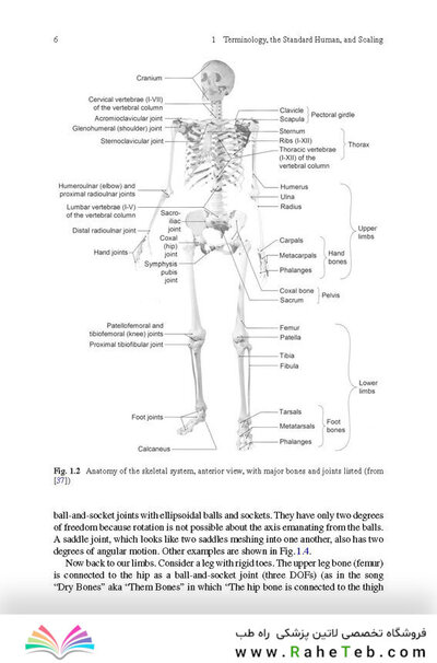 Physics of the Human Body
