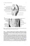 Physics of the Human Body
