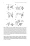 Physics of the Human Body