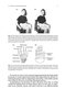Physics of the Human Body