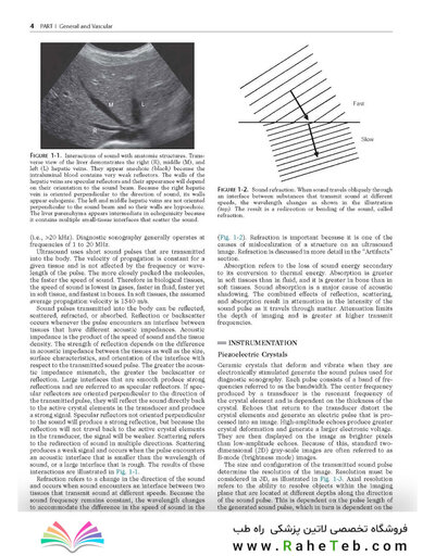 Ultrasound: The Requisites