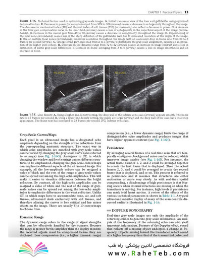 Ultrasound: The Requisites