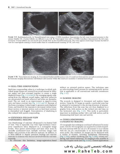 Ultrasound: The Requisites